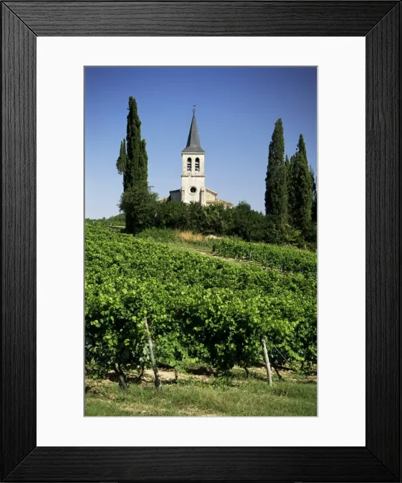 Framed Print : Vineyards and church, near Castelnau Monrater, Lot, Midi-Pyrenees, France, Europe Framed Print : Vineyards and church, near Castelnau Monrater, Lot, Midi-Pyrenees, France, Europe