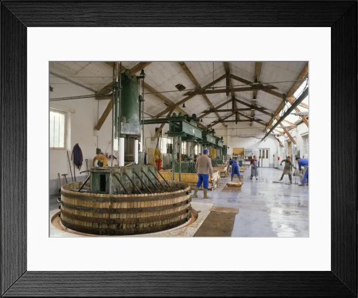 Framed Print : Champagne wine presses, Verzy, Champagne Ardennes, France, Europe Framed Print : Champagne wine presses, Verzy, Champagne Ardennes, France, Europe