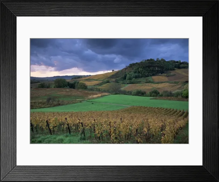 Framed Print : Vineyards near Chateau Chalon, Jura, Franche Comte, France, Europe Framed Print : Vineyards near Chateau Chalon, Jura, Franche Comte, France, Europe