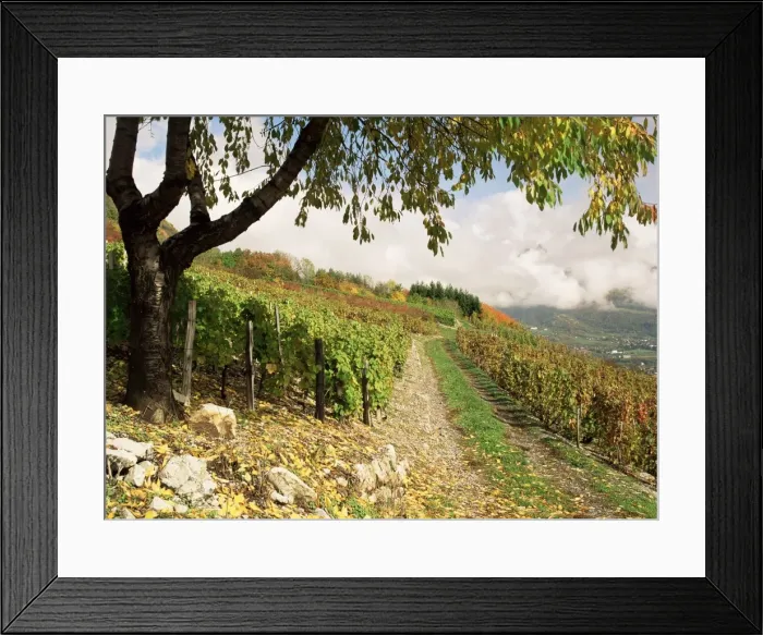 Framed Print : Landscape near Chambery, Savoie, Rhone Alpes, France, Europe