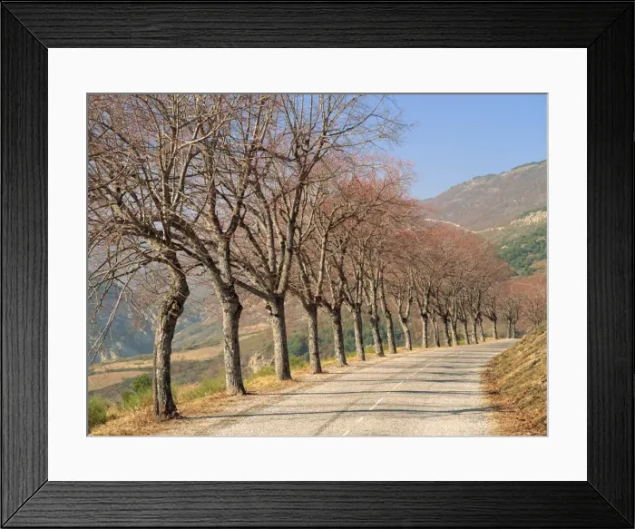 Framed Print : Bare trees line a rural road at Drome, Col de Perty in the Rhone Alpes, France, Europe Framed Print : Bare trees line a rural road at Drome, Col de Perty in the Rhone Alpes, France, Europe
