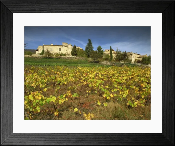 Framed Print : Vines in front of the village of Le Poet Laval, Drome, Rhone-Alpes, France, Europe Framed Print : Vines in front of the village of Le Poet Laval, Drome, Rhone-Alpes, France, Europe