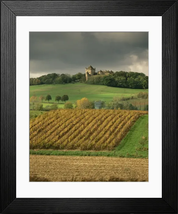 Framed Print : Vineyards near Lons le Saunier, Jura, Rhone Alpes, France, Europe Framed Print : Vineyards near Lons le Saunier, Jura, Rhone Alpes, France, Europe