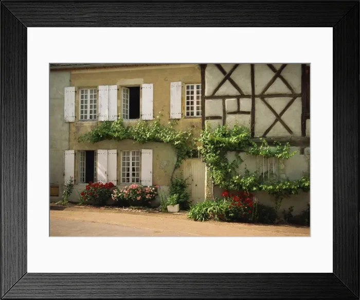 Framed Print : Vines and roses on the front of a house at Verneuil en Courbonnais, Allier Framed Print : Vines and roses on the front of a house at Verneuil en Courbonnais, Allier