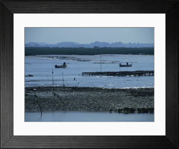 Framed Print : Men in small boats working the oyster beds at Mornac sur Seudre, Poitou Charentes Framed Print : Men in small boats working the oyster beds at Mornac sur Seudre, Poitou Charentes