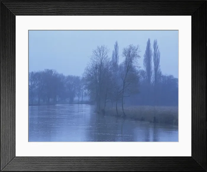 Framed Print : Winter landscape of bare trees and the River Loir near Le Lude, in Sarthe Framed Print : Winter landscape of bare trees and the River Loir near Le Lude, in Sarthe