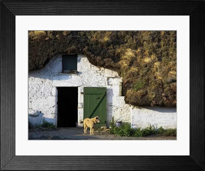 Framed Print : Cottage in La Grande Briere, near St. Lyphard, Western Loire, Pays de la Loire Framed Print : Cottage in La Grande Briere, near St. Lyphard, Western Loire, Pays de la Loire