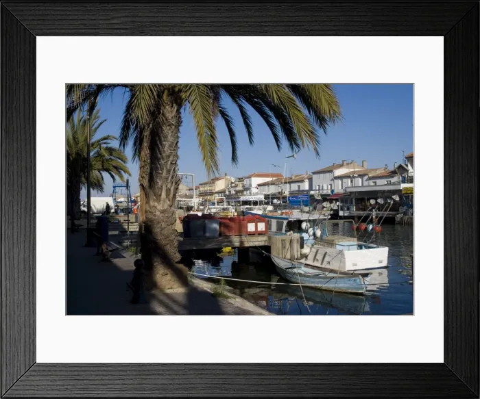 Framed Print : Harbour, Le Grau du Roi, Languedoc, France, Europe Framed Print : Harbour, Le Grau du Roi, Languedoc, France, Europe