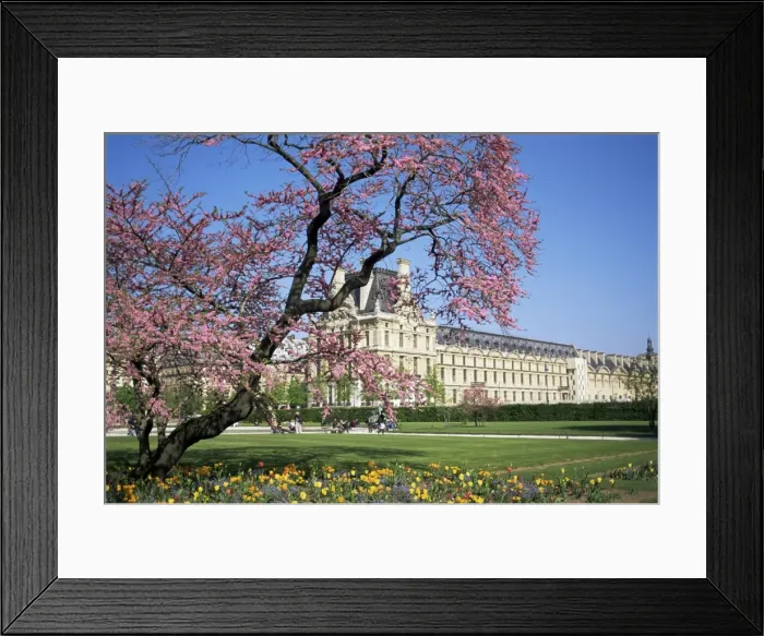 Framed Print : Jardin des Tuileries and Musee du Louvre, Paris, France, Europe Framed Print : Jardin des Tuileries and Musee du Louvre, Paris, France, Europe