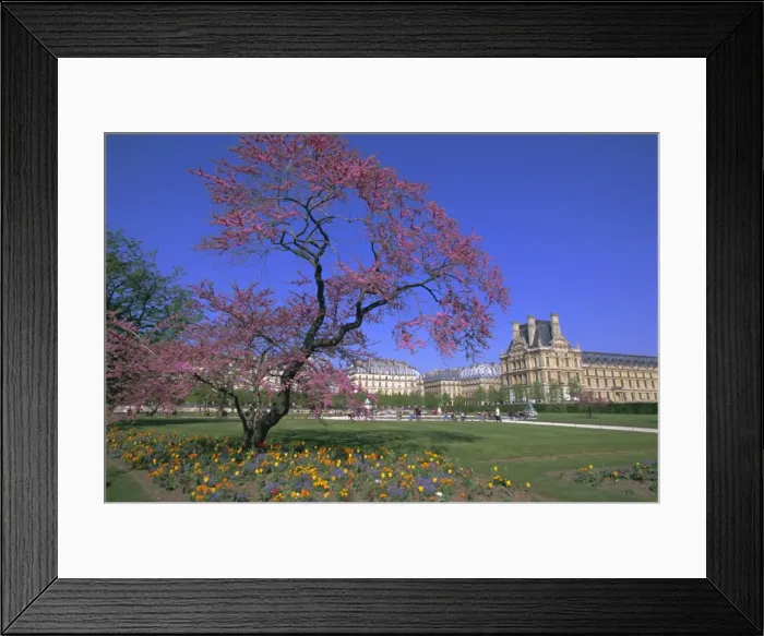Framed Print : Jardin des Tuileries and Musee du Louvre, Paris, France, Europe Framed Print : Jardin des Tuileries and Musee du Louvre, Paris, France, Europe