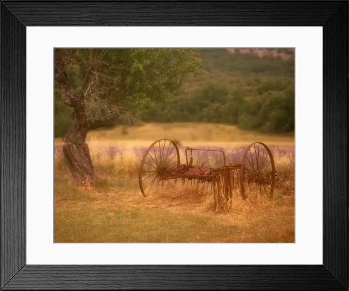 Framed Print : Rural scene, Provence, France Framed Print : Rural scene, Provence, France