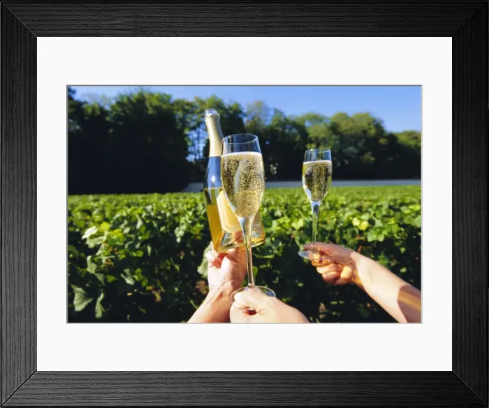 Framed Print : Vineyards, Champagne, France Framed Print : Vineyards, Champagne, France