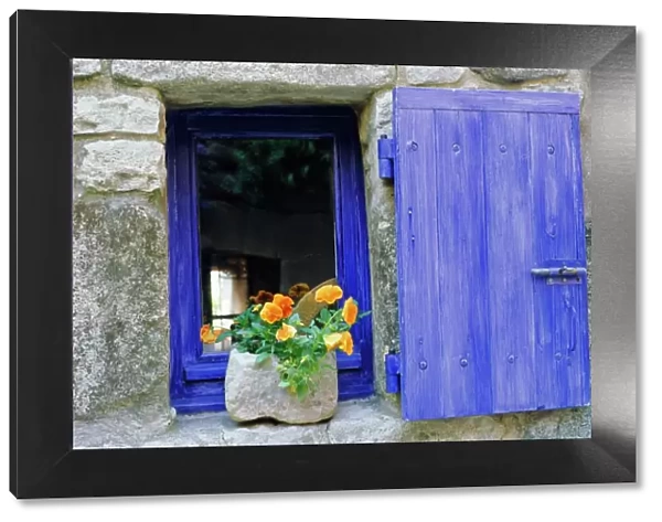 Close-up of blue shutter, window and yellow pansies, Villefranche sur Mer
