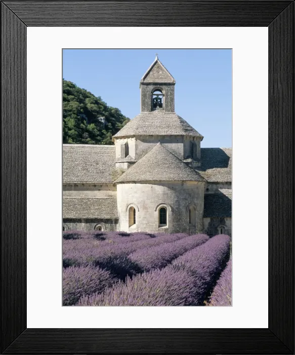 Framed Print : Abbaye de Senanque, Vaucluse, Provence, France, Europe Framed Print : Abbaye de Senanque, Vaucluse, Provence, France, Europe
