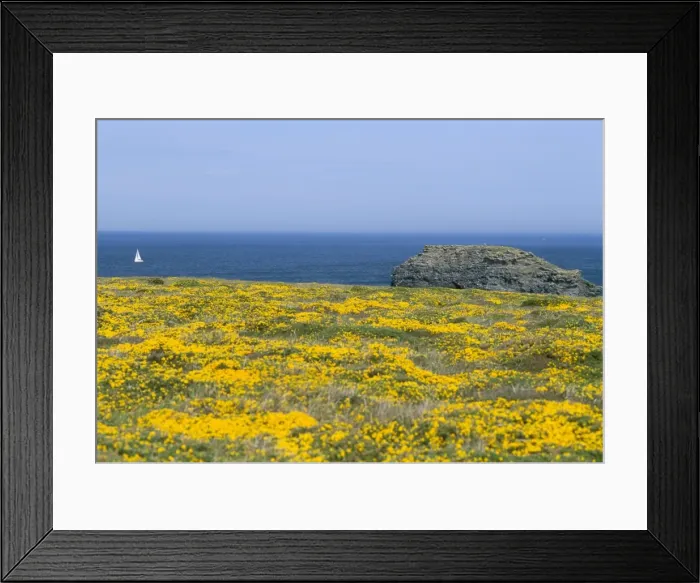 Framed Print : Pointe du Vieux Chateau, Belle Ile en Mer, Breton Islands, Morbihan, Brittany Framed Print : Pointe du Vieux Chateau, Belle Ile en Mer, Breton Islands, Morbihan, Brittany