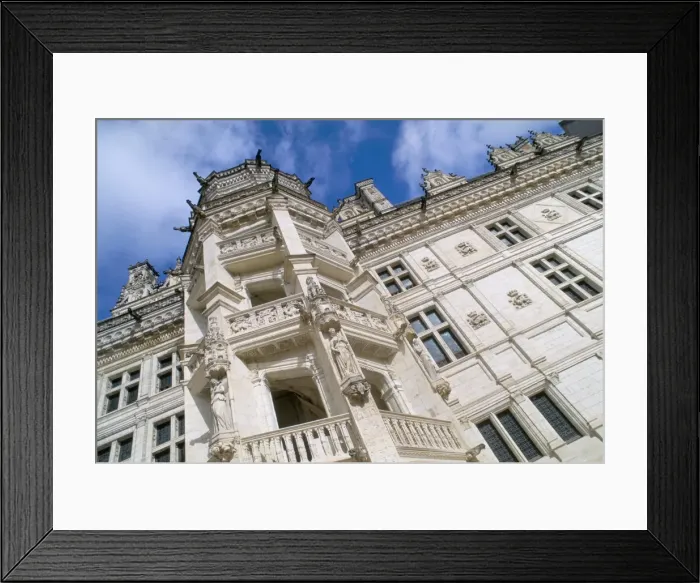 Framed Print : Francois 1er (Francis 1st) stairway, Chateau of Blois, Pays de Loire, Loire Valley Framed Print : Francois 1er (Francis 1st) stairway, Chateau of Blois, Pays de Loire, Loire Valley