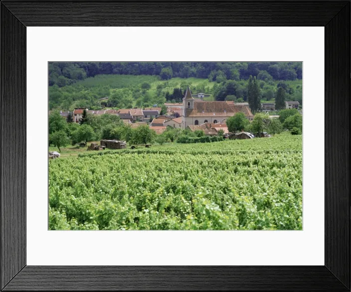 Framed Print : Cotes de Toul vineyards, village of Lucey, Meurthe-et-Moselle, Lorraine, France, Europe Framed Print : Cotes de Toul vineyards, village of Lucey, Meurthe-et-Moselle, Lorraine, France, Europe