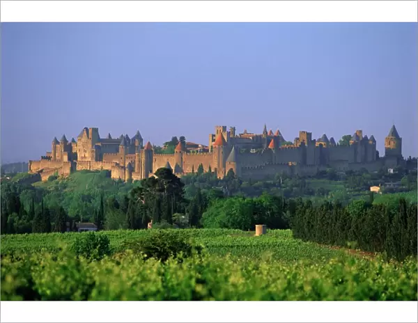 The medieval city of Carcassonne, Aude, Languedoc-Roussillon, France, Europe