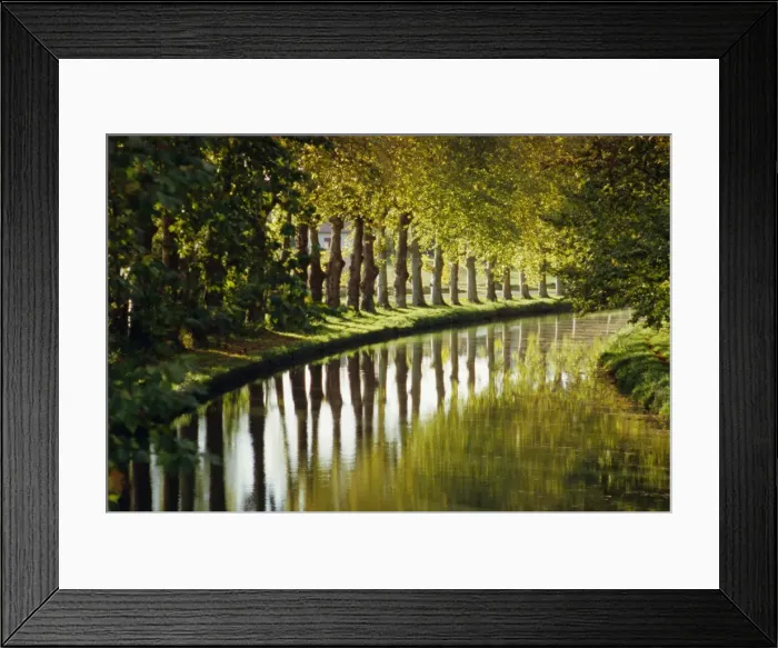 Framed Print : The bank of the Hure, Canal Lateral a la Garonne, Gironde, Aquitaine, France, Europe Framed Print : The bank of the Hure, Canal Lateral a la Garonne, Gironde, Aquitaine, France, Europe