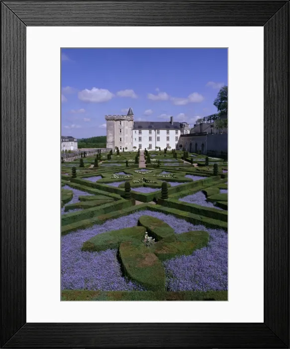 Framed Print : Formal gardens, Chateau of Villandry, UNESCO World Heritage Site, Indre et Loire Framed Print : Formal gardens, Chateau of Villandry, UNESCO World Heritage Site, Indre et Loire