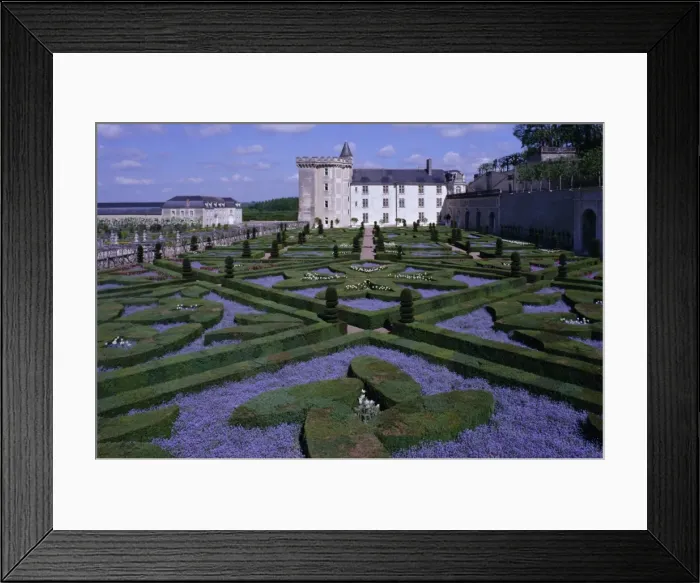 Framed Print : Formal gardens, Chateau of Villandry, UNESCO World Heritage Site, Indre et Loire Framed Print : Formal gardens, Chateau of Villandry, UNESCO World Heritage Site, Indre et Loire