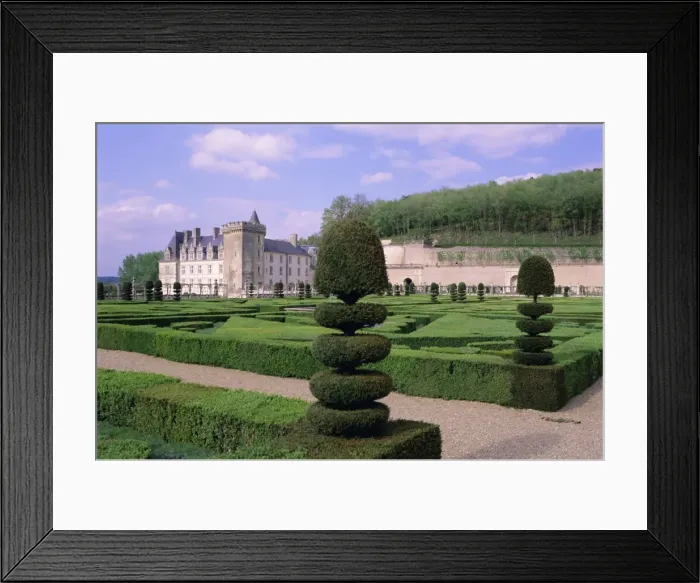Framed Print : Topiary in formal gardens, Chateau of Villandry, UNESCO World Heritage Site Framed Print : Topiary in formal gardens, Chateau of Villandry, UNESCO World Heritage Site