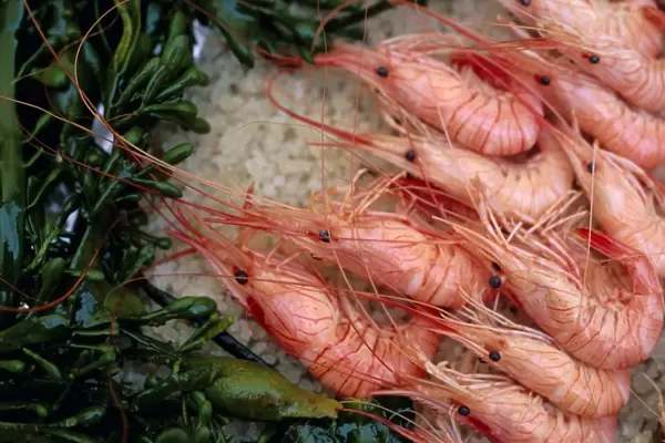 Crevettes (prawns), Le Bistrot de Bernard, Ars, Ile de Re, Charente Maritime