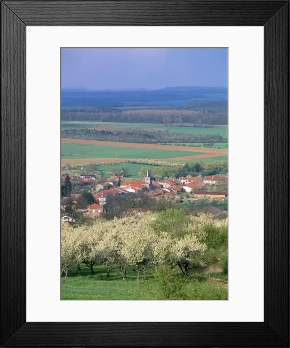 Framed Print : Surrounded by mirabelle plum trees in blossom, village of Praye, Sion region Framed Print : Surrounded by mirabelle plum trees in blossom, village of Praye, Sion region