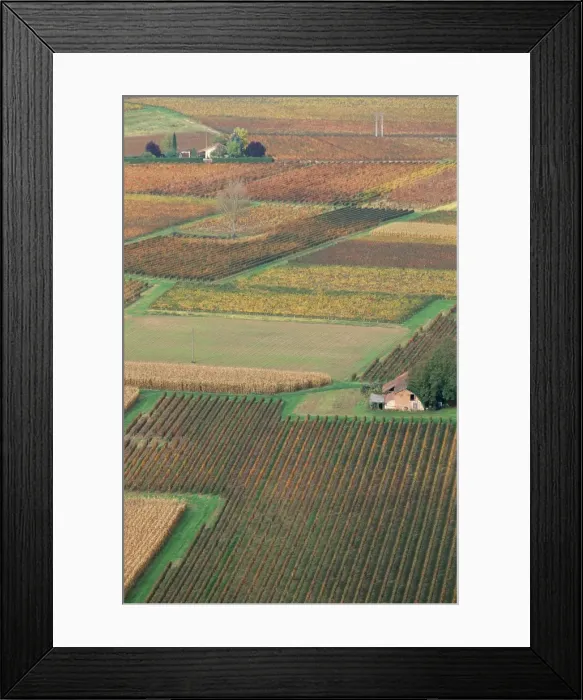 Framed Print : View from the village of Belaye of the vineyards of Cahors, Vallee du Lot (Lot Valley) Framed Print : View from the village of Belaye of the vineyards of Cahors, Vallee du Lot (Lot Valley)