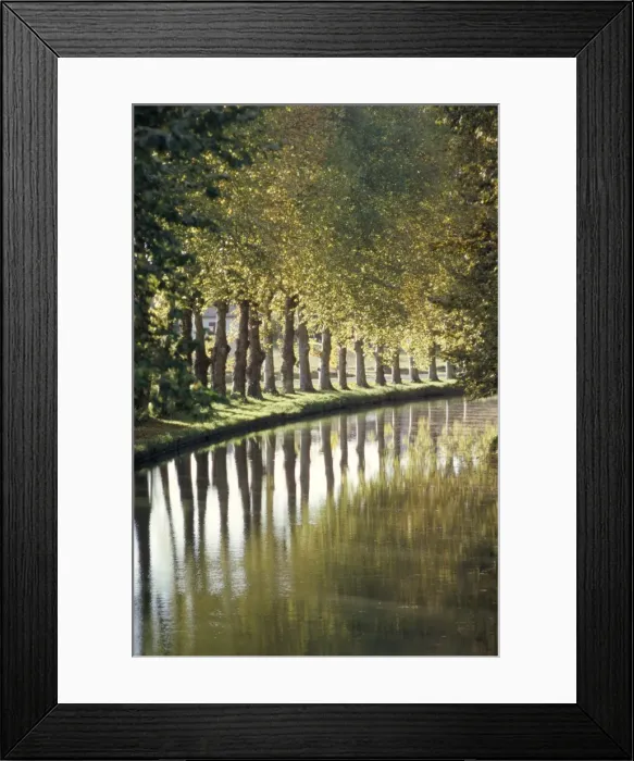 Framed Print : The banks of the Hure, Canal Lateral a la Garonne, Gironde, Aquitaine, France, Europe