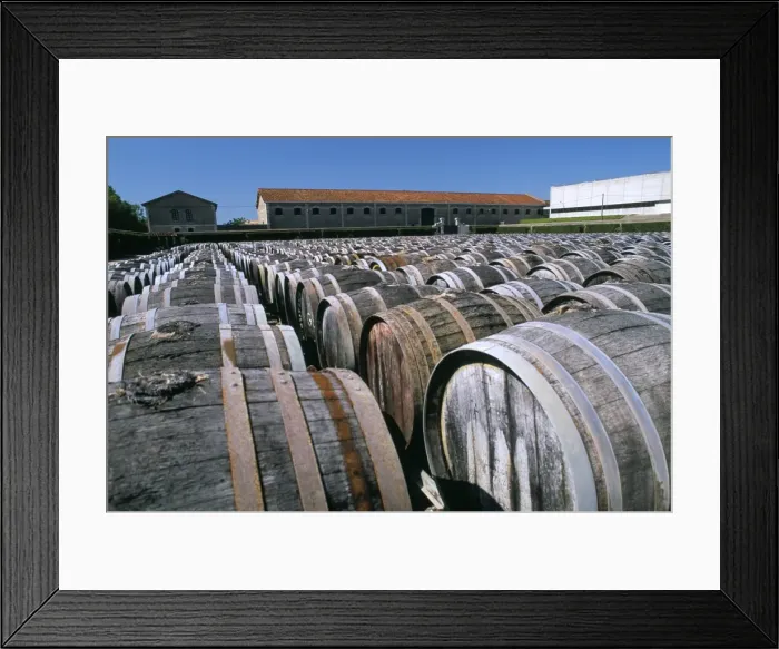 Framed Print : Casks of Noilly-Prat, Vermouth factory dating from the 19th century, Marseillan port Framed Print : Casks of Noilly-Prat, Vermouth factory dating from the 19th century, Marseillan port