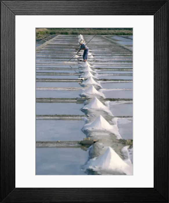 Framed Print : Collecting salt in the salt pans, Fier d Ars, Ile de Re, Charente Maritime Framed Print : Collecting salt in the salt pans, Fier d Ars, Ile de Re, Charente Maritime