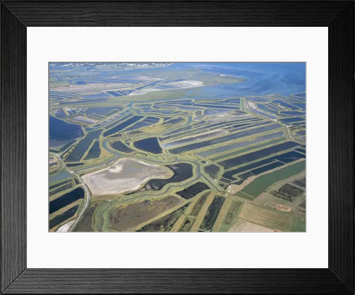 Framed Print : Aerial view of mud flats and salt marshes, Ile de Re, Charente Maritime, France, Europe Framed Print : Aerial view of mud flats and salt marshes, Ile de Re, Charente Maritime, France, Europe