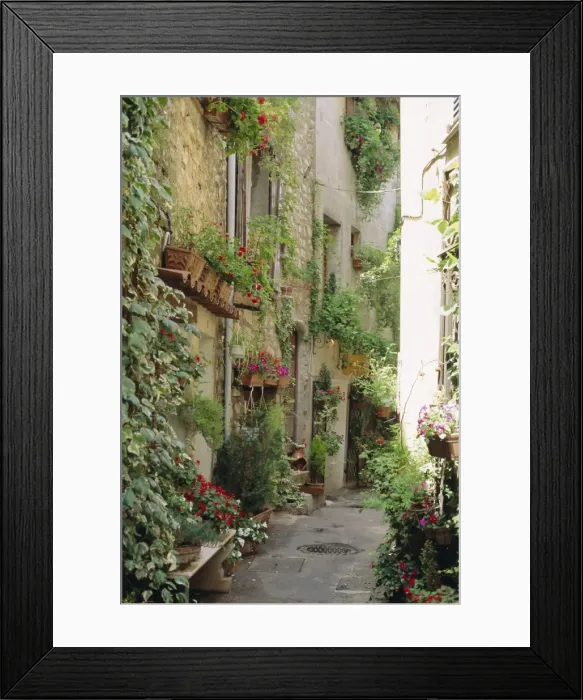 Framed Print : Mougins, Alpes Maritime, Cote d Azur, Provence, France Framed Print : Mougins, Alpes Maritime, Cote d Azur, Provence, France