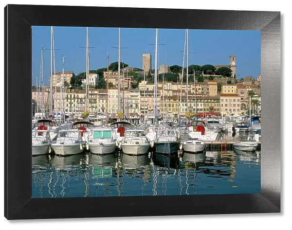 Port, Saint-Pierre quay and Le Suquet, Cannes, Alpes Maritimes, Provence
