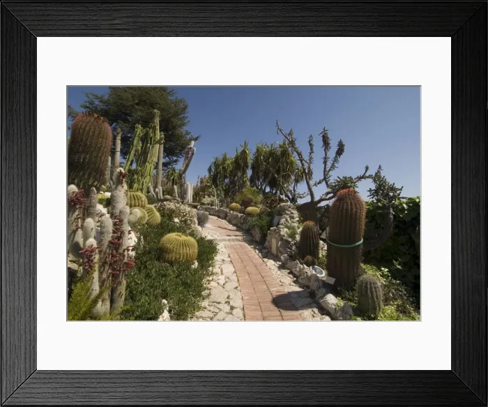 Framed Print : Botanic garden (Jardin Exotique), Eze village, Alpes Maritimes, Provence Framed Print : Botanic garden (Jardin Exotique), Eze village, Alpes Maritimes, Provence