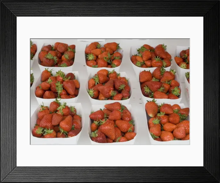Framed Print : Marche aux Fleurs, Cours Saleya, Nice, Alpes Maritimes, Provence, Cote d Azur Framed Print : Marche aux Fleurs, Cours Saleya, Nice, Alpes Maritimes, Provence, Cote d Azur