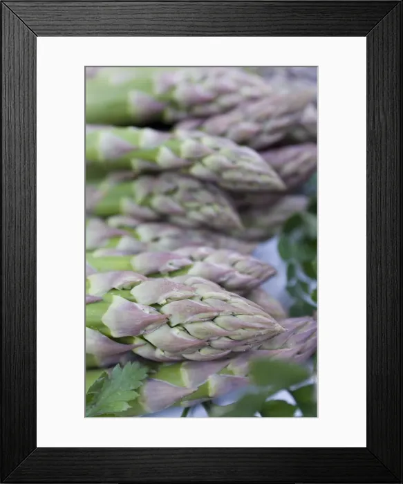 Framed Print : Marche aux Fleurs, Cours Saleya, Nice, Alpes Maritimes, Provence, Cote d Azur Framed Print : Marche aux Fleurs, Cours Saleya, Nice, Alpes Maritimes, Provence, Cote d Azur