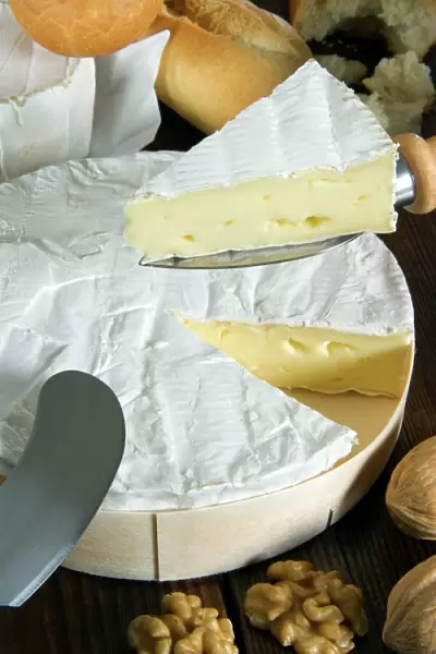 French Brie cheese, France, Europe