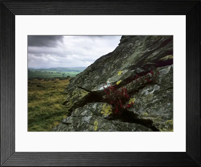 Framed Print : Norber erratics near Austwick, erratic boulders left on limestone pavement by erosion Framed Print : Norber erratics near Austwick, erratic boulders left on limestone pavement by erosion