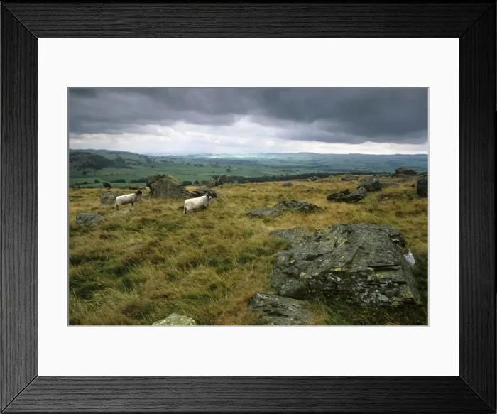 Framed Print : Norber erratics near Austwick, erratic boulders left on limestone pavement by erosion Framed Print : Norber erratics near Austwick, erratic boulders left on limestone pavement by erosion