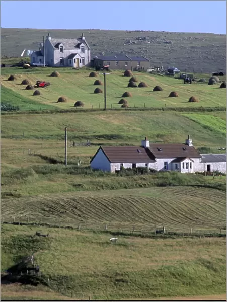 Good example of land use, Burrafirth, Unst, Shetland Islands, Scotland