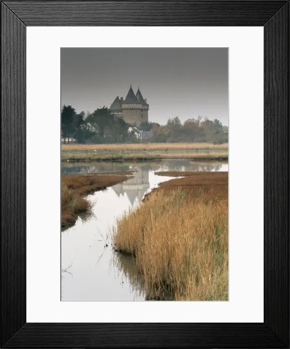 Framed Print : Castle and marshes of Suscinio, Morbihan, Brittany, France, Europe Framed Print : Castle and marshes of Suscinio, Morbihan, Brittany, France, Europe