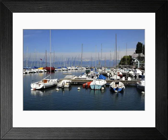 Framed Print : Port des Mouettes Framed Print : Port des Mouettes