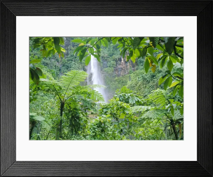 Framed Print : Waterfall, Guadeloupe Framed Print : Waterfall, Guadeloupe