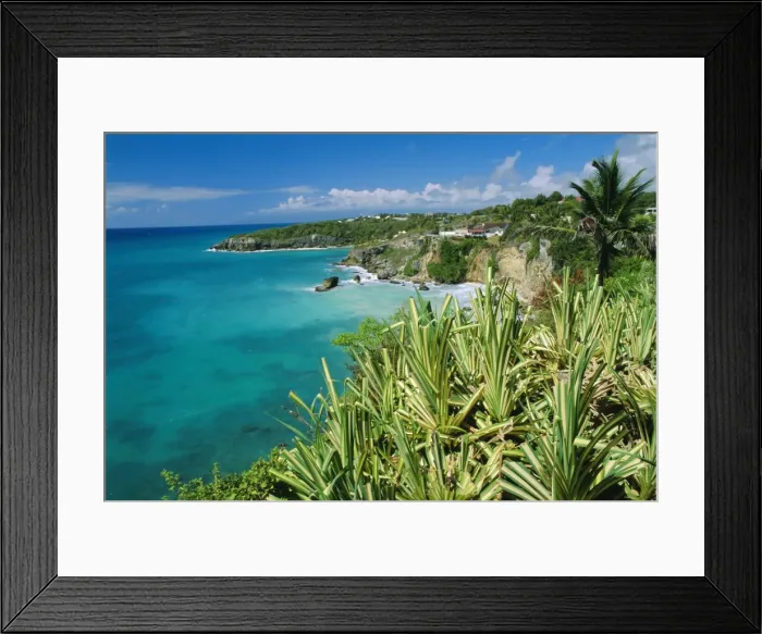 Framed Print : Guadeloupe Framed Print : Guadeloupe