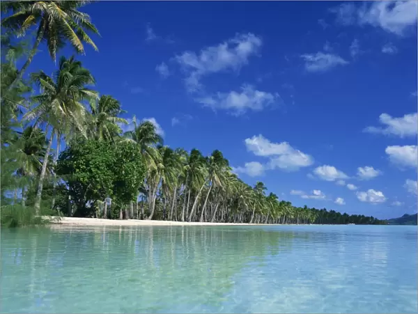 Palm trees fringe the tropical beach and turquoise sea on Bora Bora