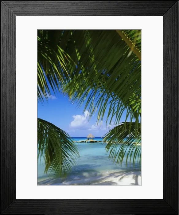 Framed Print : Palm fronds and beach Framed Print : Palm fronds and beach