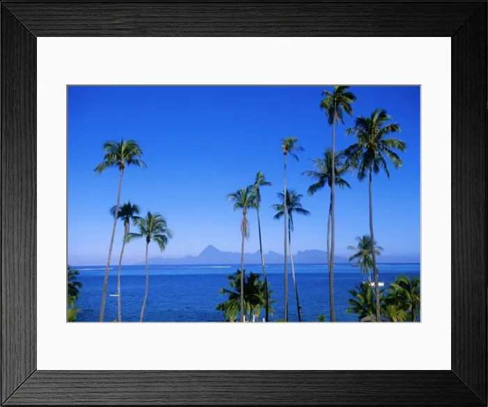 Framed Print : Palm trees and island Framed Print : Palm trees and island