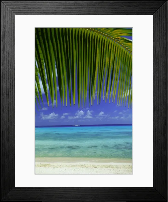 Framed Print : Palm frond and beach